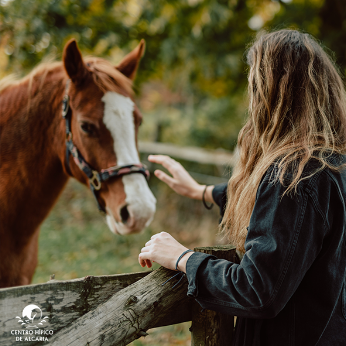 Estadia com passeio equestre